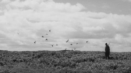 Barfuß durch die Hölle - 3. Teil: ...und dann kam das Ende Bild 8