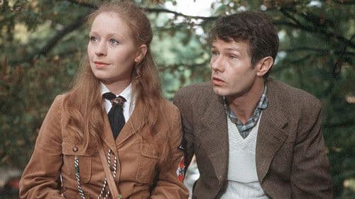 Jauche und Levkojen Bild 1