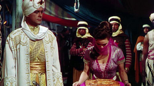 Der Wüstenfalke Bild 3