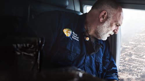 Kochen ohne Grenzen: World Central Kitchen Bild 2