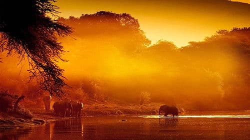 Zambezi: Force of Life Bild 1