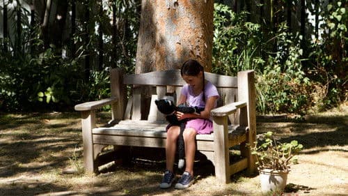 The Amityville Haunting Bild 3