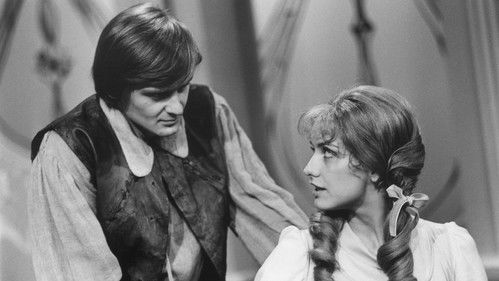 O ptáku Ohniváku Bild 2