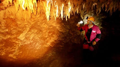 Die Geburt Europas Bild 1