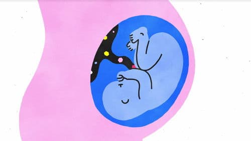 Sex, Explained Bild 1