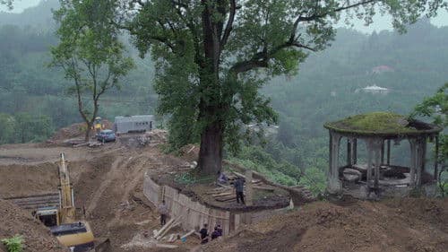 Die Zähmung der Bäume Bild 8