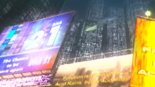 Red Cockroaches Bild 1