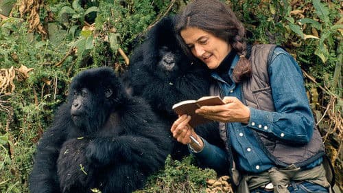 Dian Fossey: Geheimnisse im Nebel Bild 2