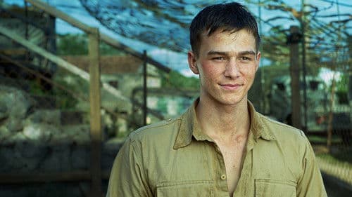 Czerwone maki Bild 3