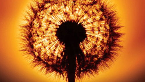 Am Anfang war das Licht Bild 1