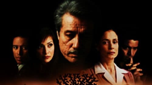 American Family Bild 1