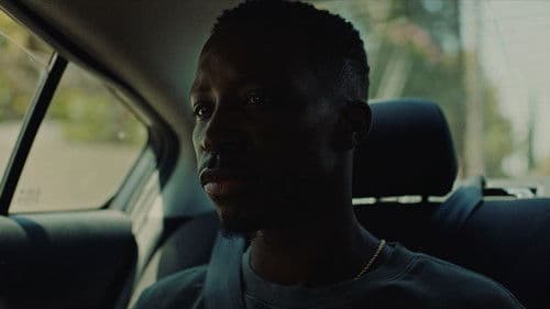 African Giants Bild 3