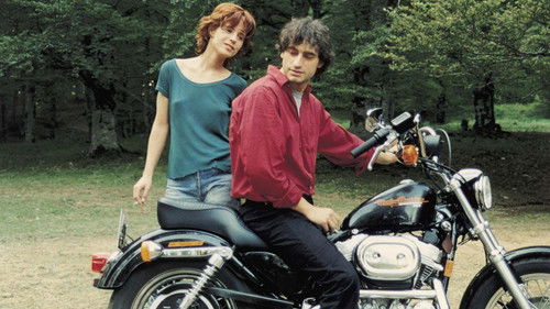 Tengo una casa Bild 1