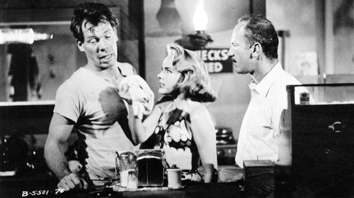 Shack Out on 101 Bild 2