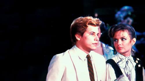 Plumas & Paetês Bild 3