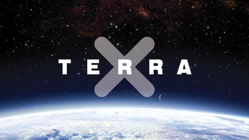 Terra X - Die Bernsteinstraße Bild 4