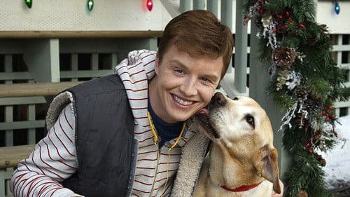 Ein Hund namens Weihnachten Bild 4