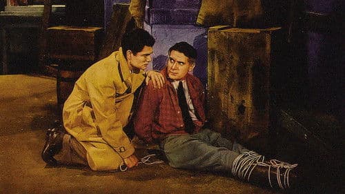 Clipped Wings Bild 1