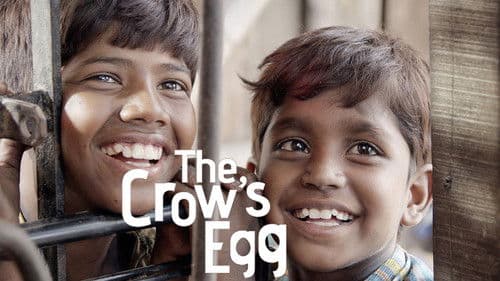 காக்கா முட்டை Bild 3