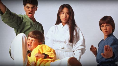 3 Ninjas Kick Back Bild 2