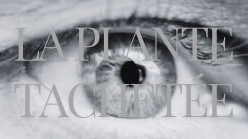 La Plante Tachetée Bild 1