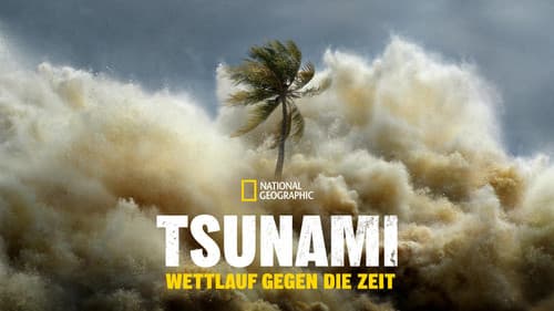 Tsunami: Wettlauf gegen die Zeit Bild 8
