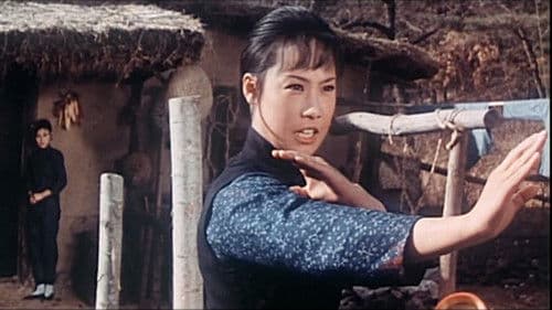 Lady Whirlwind Bild 3