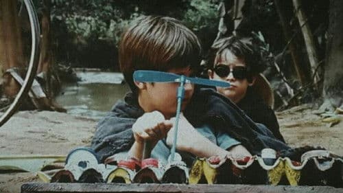 Mein kleiner Orangenbaum Bild 4