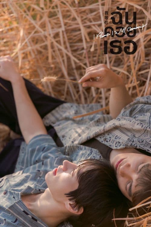 I Promise I Will Come Back