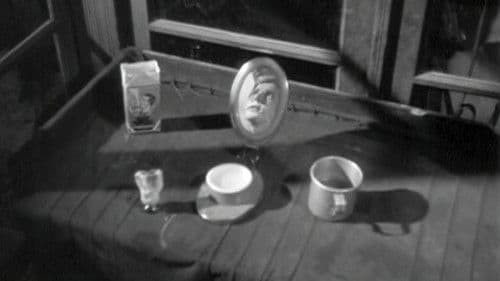 Uma Abelha na Chuva Bild 2