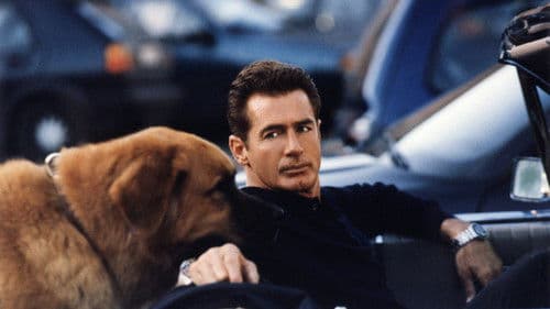 Le Nuove Avventure di Tequila & Bonetti Bild 1