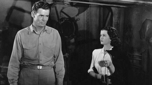 Die Frau am Strand Bild 5