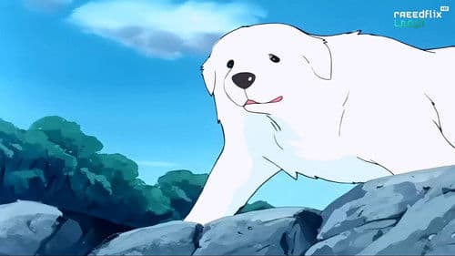 Belle und Sebastian Bild 3