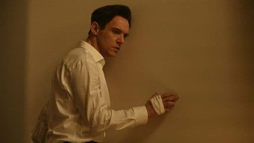 Hide and Seek Bild 6