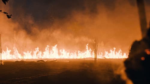 The Territory Bild 5