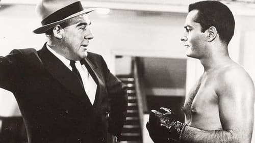 The Leather Saint Bild 1