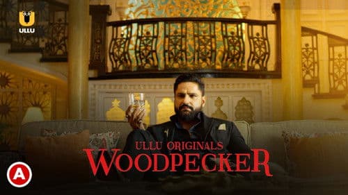 Woodpecker Bild 1