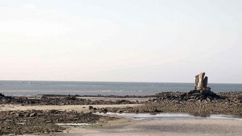 Ebbe - Ein tierisches Kammerspiel Bild 3