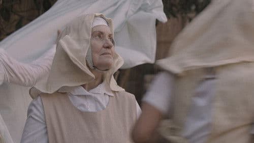 Daucus Carota Bild 1