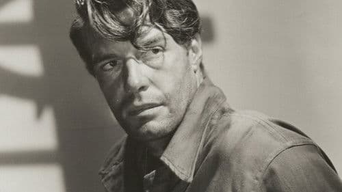 Prisoner of War Bild 1