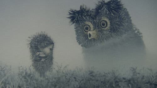 Der Igel im Nebel Bild 4