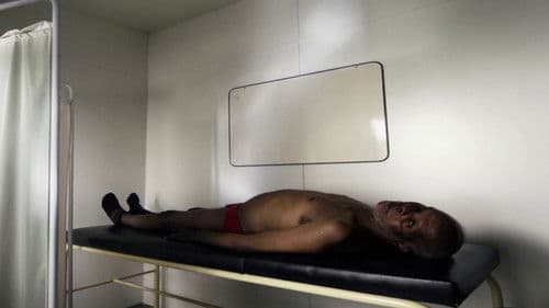 Cavalo Dinheiro Bild 8