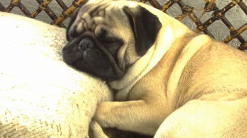 El infierno en el cielo Bild 1