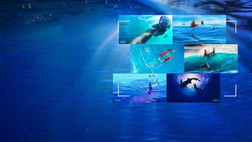 Caught! When Sharks Attack Bild 1