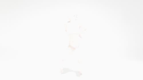 Flower of Flesh, Celestial Body Bild 4