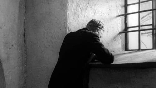 Licht im Winter Bild 4