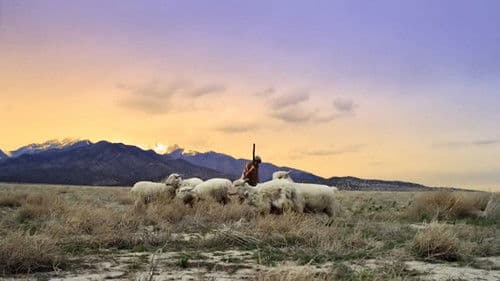 No Ordinary Shepherd Bild 2