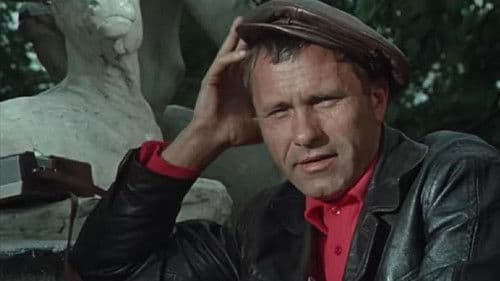 Kalina Krassnaja – Roter Holunder Bild 5