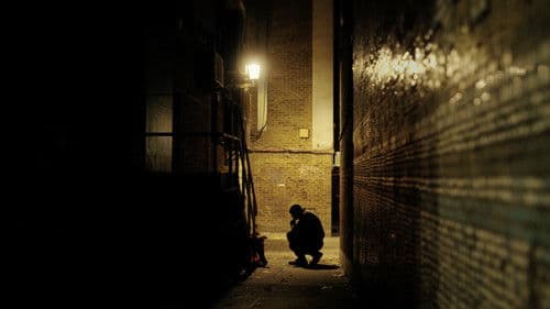 Marion's Lilies Bild 1