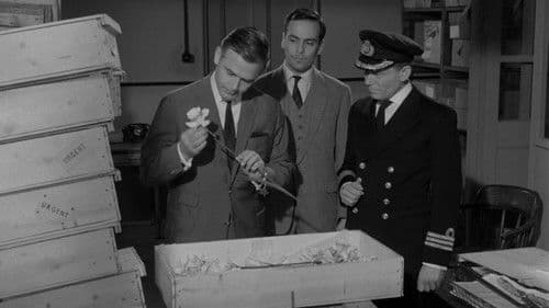 Das Geheimnis der gelben Narzissen Bild 2